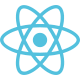 react Icon